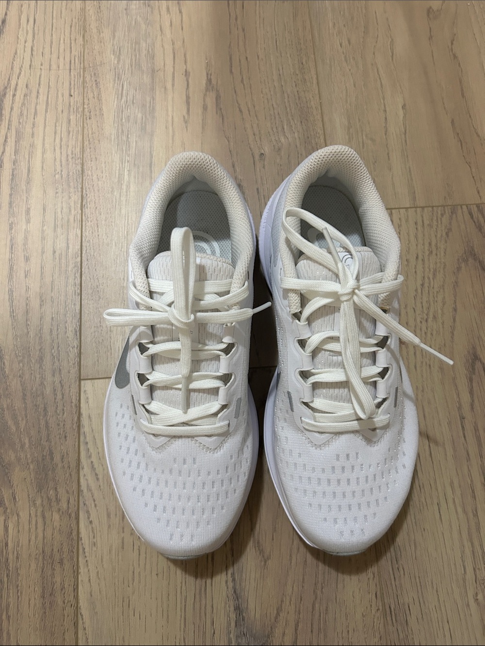 Nike White and Silver Lightweight Running Sneakers winflo 10